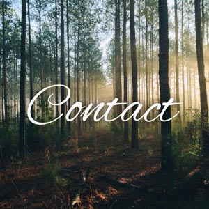 contact