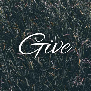 give